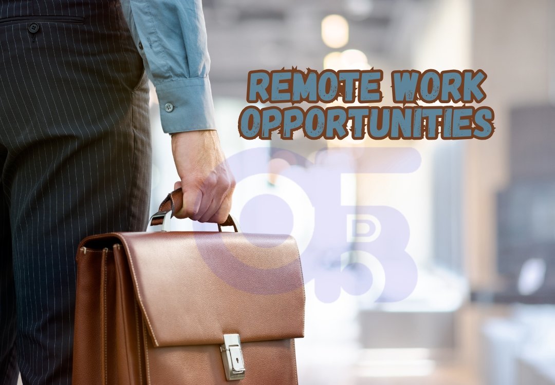 Remote Work Opportunities